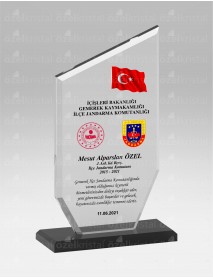 ASKERİ PLAKET TSK06
