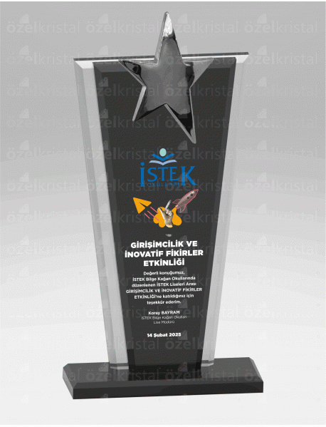 KRİSTAL PLAKET ŞLT109