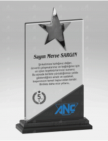 KRİSTAL PLAKET ŞLT034