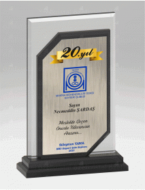 KRİSTAL PLAKET ŞLT104