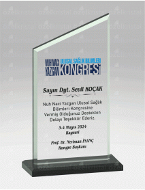 KRİSTAL PLAKET ŞLT015