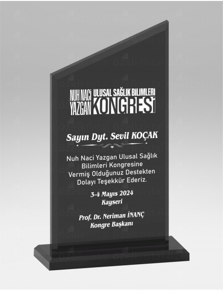 KRİSTAL PLAKET ŞLT015