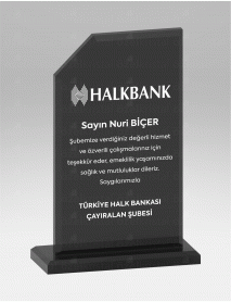  KRİSTAL PLAKET ŞLT009