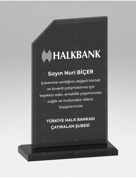  KRİSTAL PLAKET ŞLT009