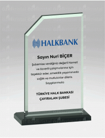  KRİSTAL PLAKET ŞLT009