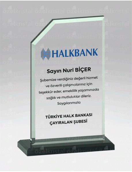  KRİSTAL PLAKET ŞLT009